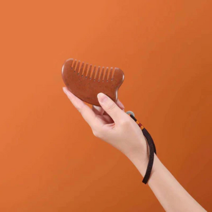 AIYISHENG BianStone Scalp & Body Comb