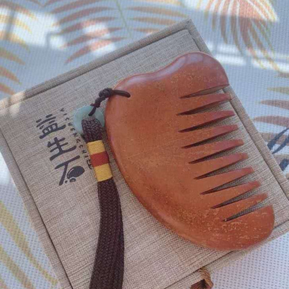 AIYISHENG BianStone Scalp & Body Comb