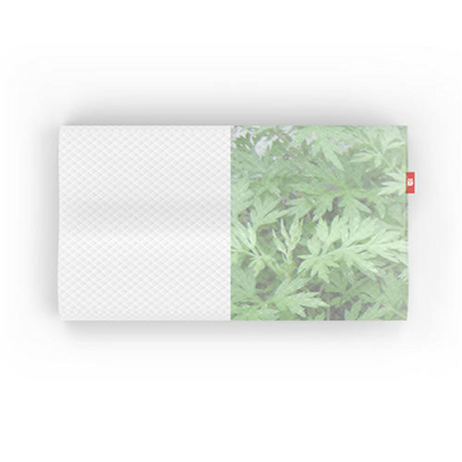 AIYISHENG Chinese Mugwort Memory Pillow