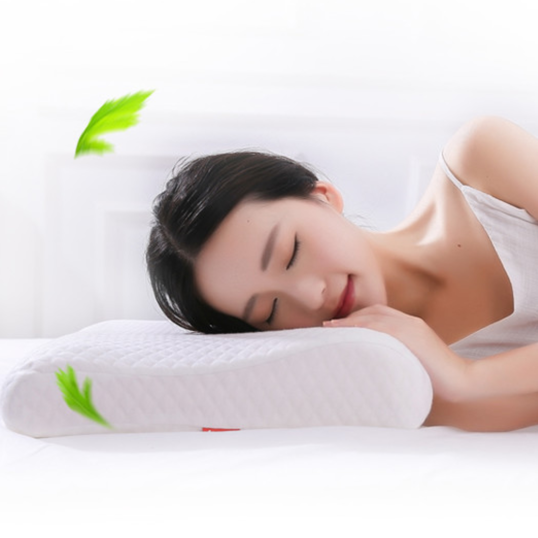 AIYISHENG Chinese Mugwort Memory Pillow