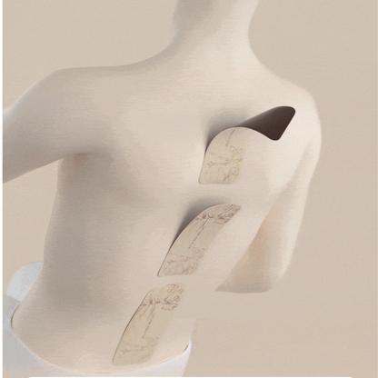 AIYISHENG Herbal Moxibustion Patch