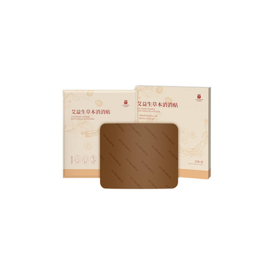 AIYISHENG Herbal Relief Patch